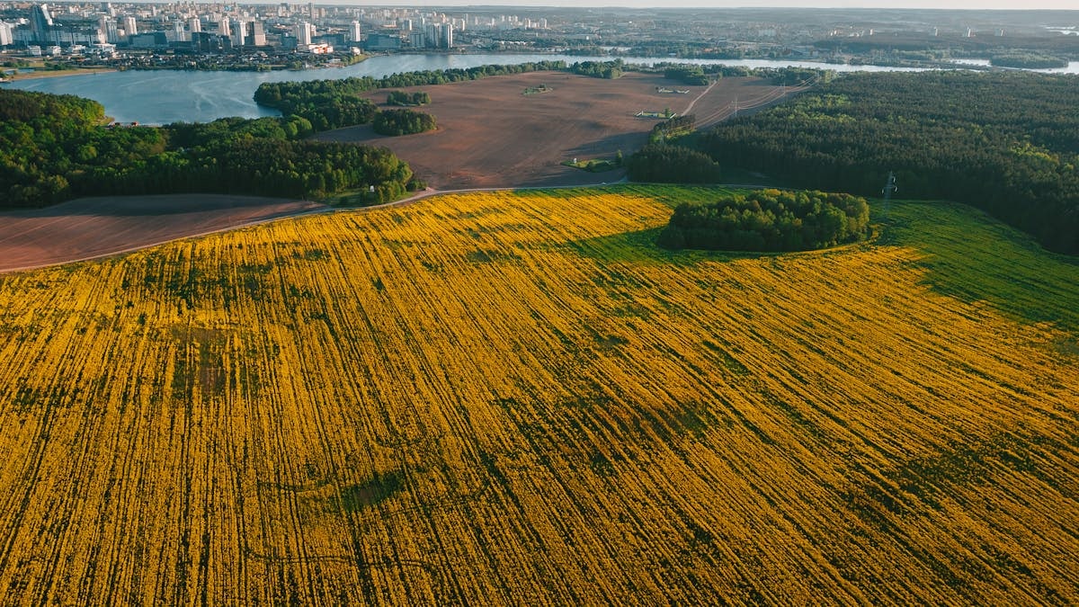 Explore the stunning aerial landscape of Drozdzy, Belarus, showcasing fields and cityscape.